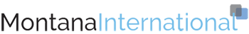 MONTANA INTERNATIONAL, Industrial Belts, Conveyor Belts, Power Transmission Belts, Timing Belts, Open End Belt, Industrial Power Transmission Systems, Polyurethane Wire Reinforced Timing Belts, Mifdel Belts, Montflex Belts, Dealers, India